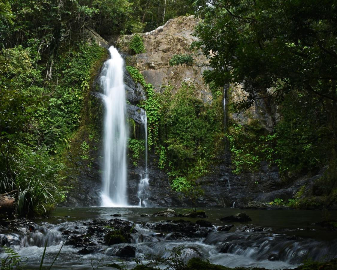 Cassowary Falls Gateway دينتري المظهر الخارجي الصورة